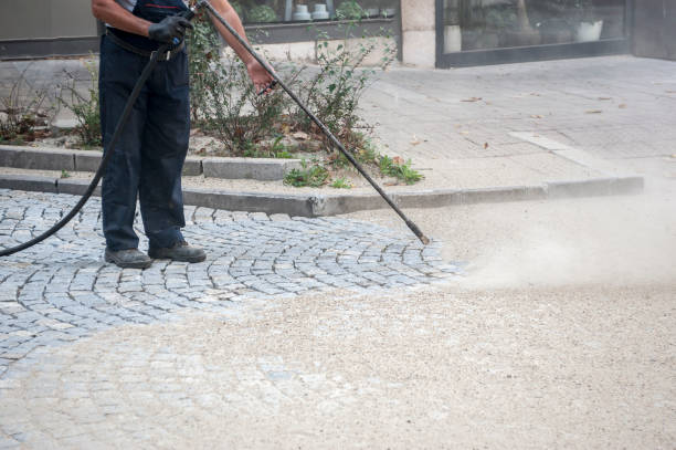 Best Driveway Pressure Washing  in Big Pine Key, FL